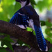 Jay Underwood Photo 40