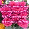Manuel Madera Photo 19