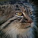 Jamie Pallas Photo 9