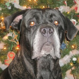 Michelle Herndon Photo 11