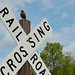 Robin Cross Photo 12
