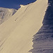 Cody Jackson Photo 35