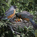 Robin Bond Photo 19