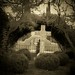 David Holy Photo 11