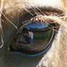 Lisa Calhoun Photo 16