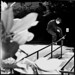 Robert Repp Photo 15