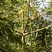 Lisa Cotton Photo 9