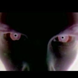 Steven Stark Photo 13