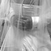 Tina Roy Photo 38