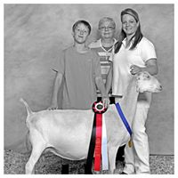 Jill Gilmore Photo 17