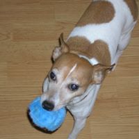Janet Armbruster Photo 7