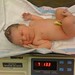 Elizabeth Swope Photo 15
