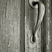 Lynn Lane Photo 36