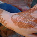 Catherine Hand Photo 21