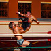 Eddie Edwards Photo 15