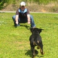 Debra Gillespie Photo 22