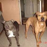 Donnie Lyons Photo 14