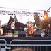 Molly Johnson Photo 27