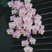 John Probst Photo 33