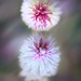 Rajesh Soni Photo 9