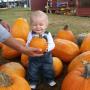 Sherry Franks Photo 19