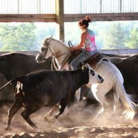 Suzanne Bird Photo 8