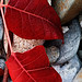 Brenda Tharp Photo 8