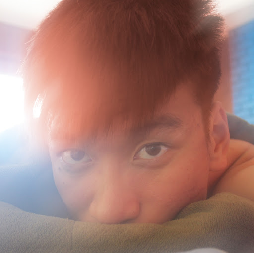 Vu Trinh Photo 12