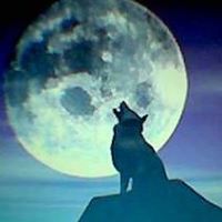 Jose Ruvalcaba Photo 25