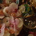 Antoinette Berry Photo 8