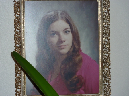 Bonnie Case Photo 27