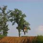 Jordan Norton Photo 17