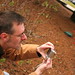 Phil Ferris Photo 12