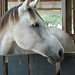 Lisa Gray Photo 17