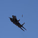 Rachel Hawks Photo 8