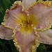 Carolyn Mann Photo 18