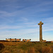 Ralph Young Photo 10