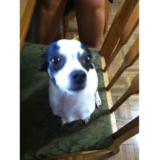 Sheila Lopez Photo 25