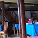 Yen Ha Photo 8