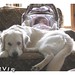 Suzanne Wyatt Photo 19