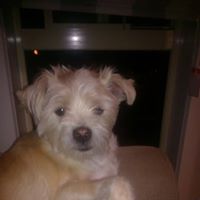 Debra Cooke Photo 7