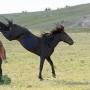Robert Doty Photo 28