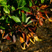 Linda Bush Photo 38