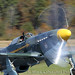Patrick Carroll Photo 46