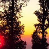 Rajendra Joshi Photo 8
