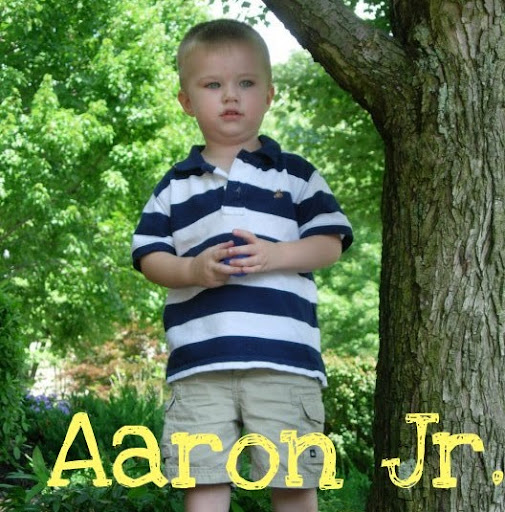 Aaron Jamison Photo 27