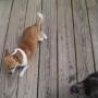 Ann Gibbs Photo 16