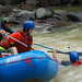 Susan Mcneely Photo 15