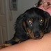 Kathy Reese Photo 26