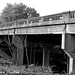 Frederick Grass Photo 8
